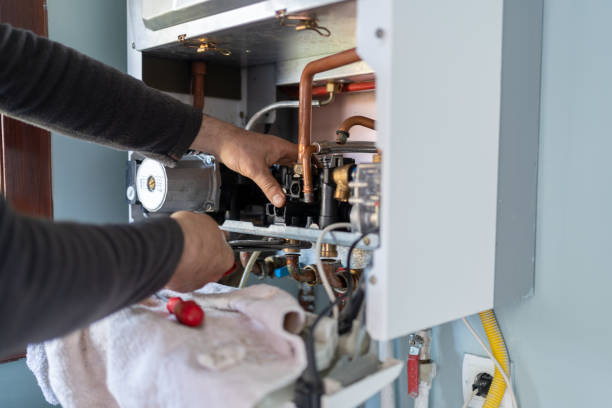 Best Plumbing System Maintenance  in Stevensville, MI